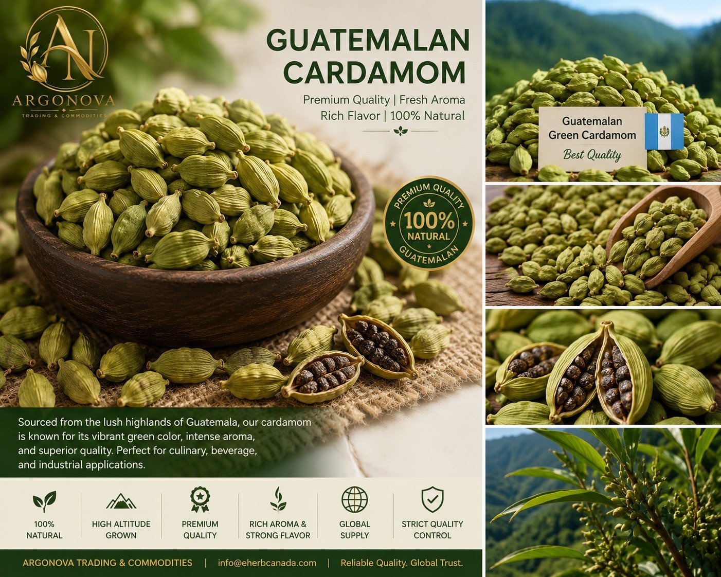 Premium Guatemalan green cardamom from ArgoNova